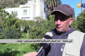 وهران: غرباء عن الفلاحة يحاولون الإستحواذ على “شاطو” داخل مستثمرة فلاحية