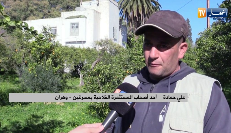 وهران: غرباء عن الفلاحة يحاولون الإستحواذ على “شاطو” داخل مستثمرة فلاحية