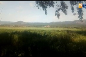 مشاهد طبيعية نادرة داخل محمية طونقة بالقالة