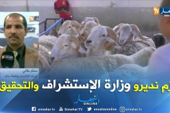 مختار علالي/”لابد من وضع فرق مشتركة بين وزارة التجار ة والفلاحة لمراقبة السوق”
