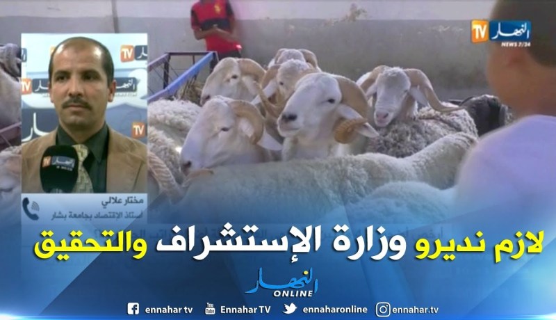 مختار علالي/”لابد من وضع فرق مشتركة بين وزارة التجار ة والفلاحة لمراقبة السوق”