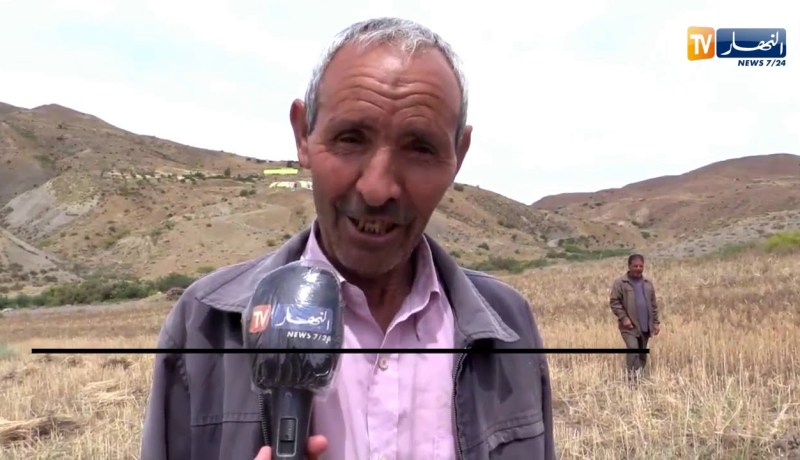 البويرة:  الذكر والمديح في موسم الحصاد من العادات المتجهة للإندثار