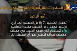 هذه أبرز المبادرات السياسية المقترحة لحل الأزمة