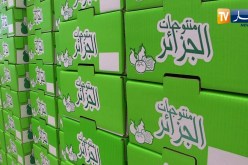 فلاحة: منتجات فلاحية ذات جودة عالية للتصدير ..هكذا رفع فلاحون التحدي