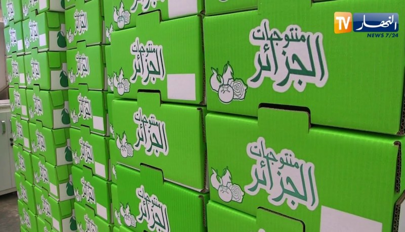فلاحة: منتجات فلاحية ذات جودة عالية للتصدير ..هكذا رفع فلاحون التحدي