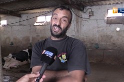 باتنة/ مشاكل بالجملة تهدد أحد أكبر مراكز جمع الحليب بسريانة