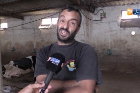 باتنة/ مشاكل بالجملة تهدد أحد أكبر مراكز جمع الحليب بسريانة