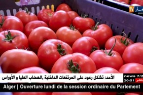 وزارة الفلاحة تخرج عن صمتها.. لا علاقة للخضر والفواكه بإنتشار داء الكوليرا