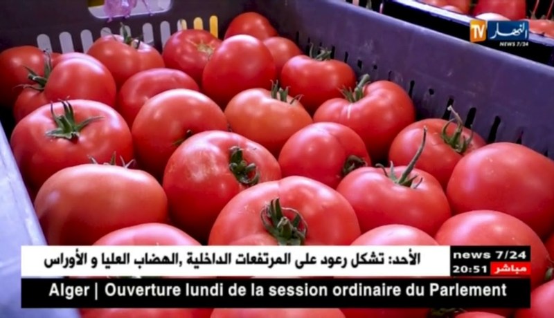 وزارة الفلاحة تخرج عن صمتها.. لا علاقة للخضر والفواكه بإنتشار داء الكوليرا