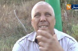 سكيكدة: نشوب حريق مهول يرعب الساكنة ويأتي على آلاف الأشجار المثمرة ببني زيد
