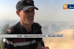 البليدة: تسجيل خسائر كبيرة بعد نشوب أكثر من 40 حريقا بجبال الأطلس البليدي