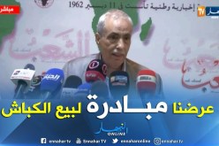 محمد عليوي: عرضنا مبادرة لبيع 50 ألف رأس من الكباش بالسعودية لكن لم نتلقى أي رد