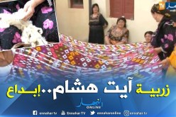 تيزي وزو: زربية آيت هشام…قرون من الإبداع والإتقان