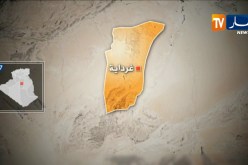 الجيش يواصل مجهوداته لمحاربة الإرهاب العينة من ولايتي غرداية والبليدة