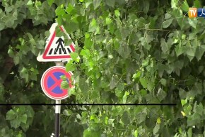 مجتمع: لافتات المرور خارج المقاييس.. من يتحمل المسؤولية ؟