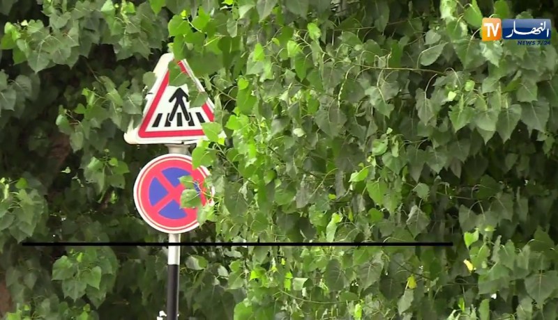 مجتمع: لافتات المرور خارج المقاييس.. من يتحمل المسؤولية ؟