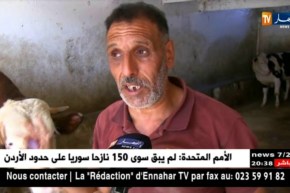 سطيف: مربو الأبقار يعيشون حالة طوارئ بعد إكتشاف وباء الحمى القلاعية