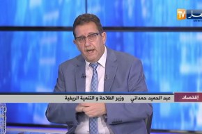 وزير الفلاحة:  إنتاج حصاد الحبوب لسنة 2020 سيتراجع بـ 22 مليون قنطار