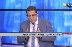 وزير الفلاحة:  برنامج لمراجعة أسعار الحبوب لتحفيز الفلاحين