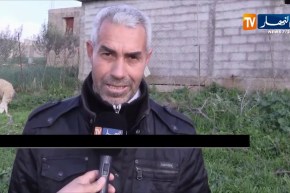 البويرة/ بعد تسجيل إصابات بوباء طاعون المجترات الموالون يدقون ناقوس الخطر