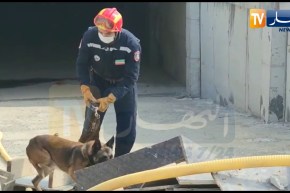 بومرداس: مناورة إفتراضية لعملية البحث بإستعمال الفرق السينو تقنية عن الأشخاص تحت الأنقاض