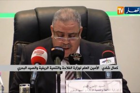 الأمين العام لوزارة الفلاحة: “تسخير 3500 بيطري لتغطية عملية التلقيح عبر التراب الوطني”