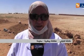 سعيدة : الحمى المالطية تضرب من جديد العديد من المناطق