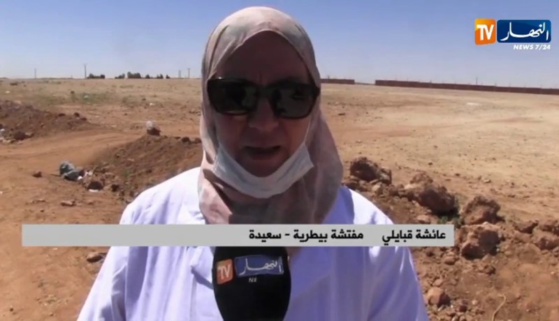 سعيدة : الحمى المالطية تضرب من جديد العديد من المناطق