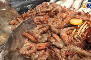 أنواع الأسماك بمسمكة عبدوا ودودوا بعين الطاية