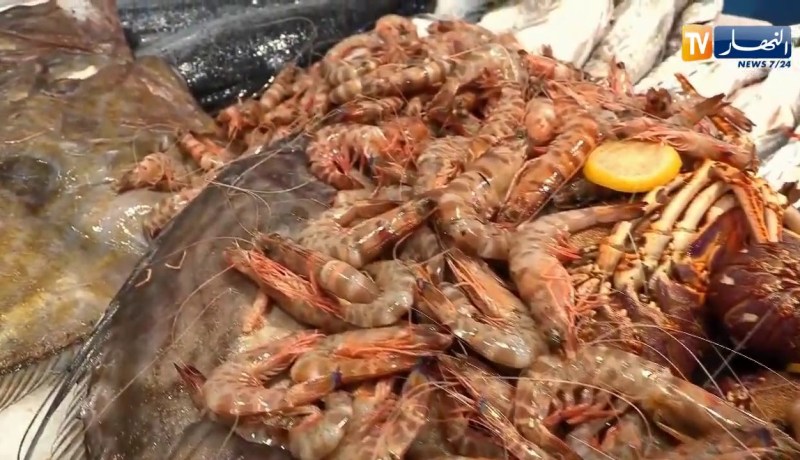 أنواع الأسماك بمسمكة عبدوا ودودوا بعين الطاية