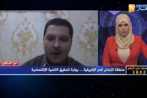 محمد صادق إسماعيل: معظم الدول الإفريقية غير مهيأة لإقامة منطقة تبادل حرّ بحكم عدم الإستقرار السياسي