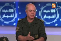 الحريق المتعمد للغابات .. عقوبات قد تصل إلى الإعدام