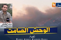 مراسل النهار بتيسمسيلت :” الحريق أصبح كوحش صامت يستيقض في الليل !!”