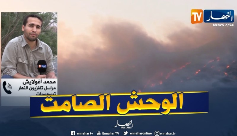 مراسل النهار بتيسمسيلت :” الحريق أصبح كوحش صامت يستيقض في الليل !!”