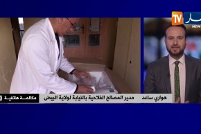 المصالح الفلاحية بالبيض: “اللقحات راهم يتوزعو..وأكثر من 100 بيطري للإشراف على عملية التلقيح”