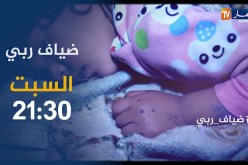 قوجيل: هناك من أراد أن يطعن في الجيش مثل ما كانوا يريدون بالأمس الطعن في جيش التحرير