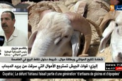 “الأضاحي بالتقسيط”…جدل بين الزبون والموال يؤدي للإستنجاد بالوسطاء !
