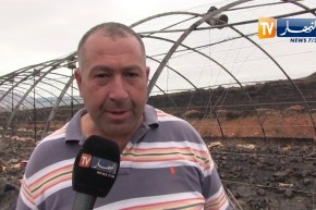 قالمة: حريق مهول يتسبب في خسائر معتبرة بجبال اولاد شيحة خلال 24 ساعة