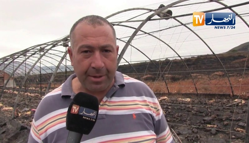 قالمة: حريق مهول يتسبب في خسائر معتبرة بجبال اولاد شيحة خلال 24 ساعة