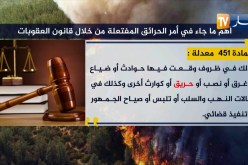 أهم ما جاء في أمر الحرائق المفتعلة من خلال قانون العقوبات