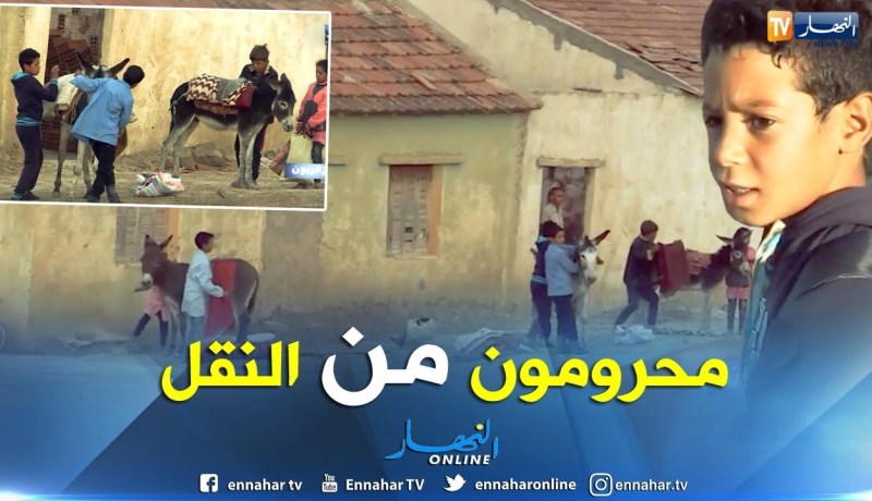 جزائريون: قافلة حمير لنقل تلاميذ دوار سيدي لحسن إلى المدرسة