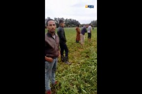 فيديو من زاوية أخرى لحادث سقوط الطائرة العسكرية !