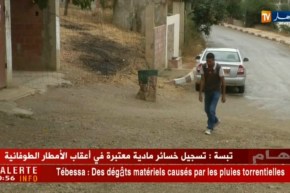 مجتمع: “القطيع”أسلوب علاج يخفي الكثير من الأسرار