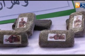 الإيقاع بشبكة منظمة مختصة في التهريب الدولي للمخدرات بوهران