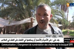 غرداية: كلاب متشردة تهاجم قطعان الماشية بالمنيعة