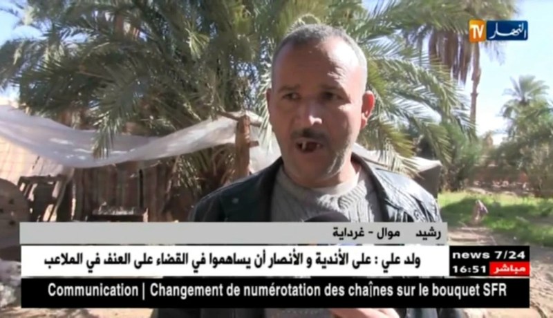 غرداية: كلاب متشردة تهاجم قطعان الماشية بالمنيعة