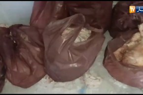 النهار ترافق قوات الدرك لأحد المآرب بها قناطير من رؤوس أغنام وأسماك غير صالحة للإستهلاك