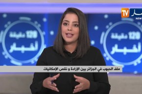 إمكانية وقف إستيراد القمح الصلب..هل الجزائر تتجه نحو تحقيق الإكتفاء الذاتي