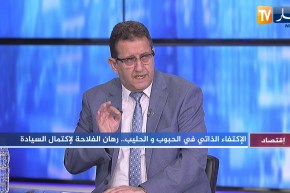 52 دقيقة إقتصاد: الإكتفاء الذاتي في الحبوب والحليب.. رهان الفلاحة لإكتمال السيادة