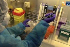 2020.. كورونا يسيطر على المشهد الصحي في الجزائر